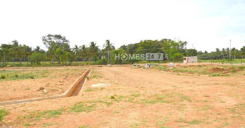 GSS Diya Sapphire Cover Image